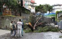 Bufera a Napoli, centinaia di allarmi Alberi e detriti sulla Tangenziale/Video