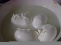 Mozzarella blu italiana prodotta con acqua di fogna. Lo scandalo continua