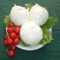 Mozzarella di bufala, se costa meno di 9 euro non è d.o.p