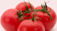 In vendita il primo 'superpomodoro' anti-età