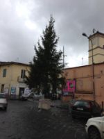 Marianella, il 21 Dicembre Santa Messa di Natale e addobbo dell'albero "della luce e dei valori" con i desideri dei bimbi