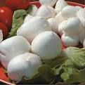 Mozzarella, scatta l'indagine parlamentare