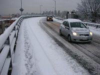 Neve, il Centro-Sud nella tempesta. Lupo azzanna un uomo nel riminese